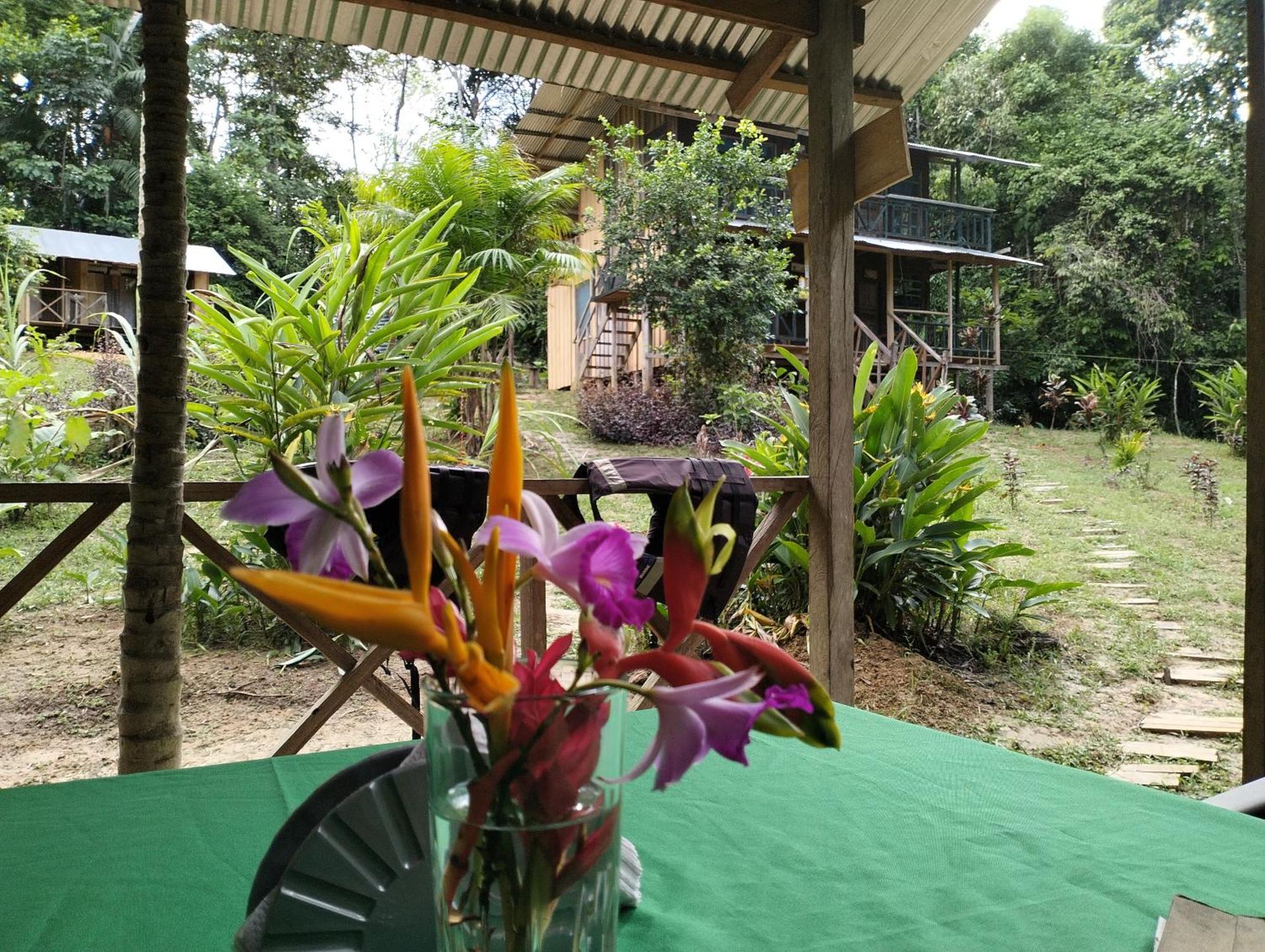 Cabanas Eco Logicas Mu'Ue Loreto Mocagua Exterior foto